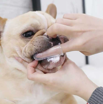 Super-Soft-Pet-Finger-Toothbrush-Teddy-Dog-Brush-Bad-Breath-Tartar-Teeth-Tool-Puppy-Dogs-Pets 1